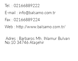 Balsamo Suit iletiim bilgileri
